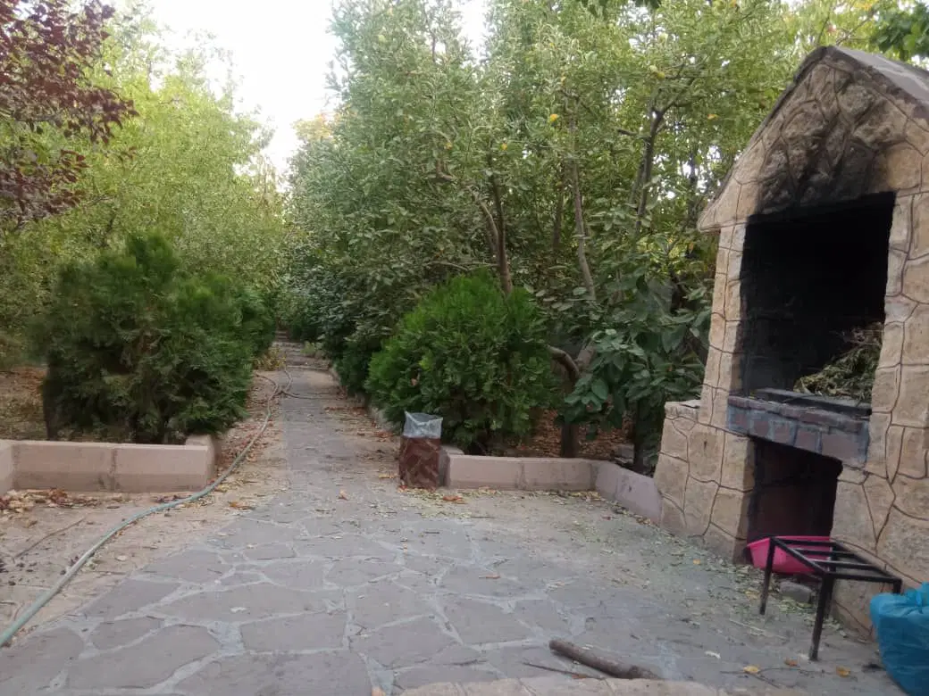 باغ سرسبز کاهو