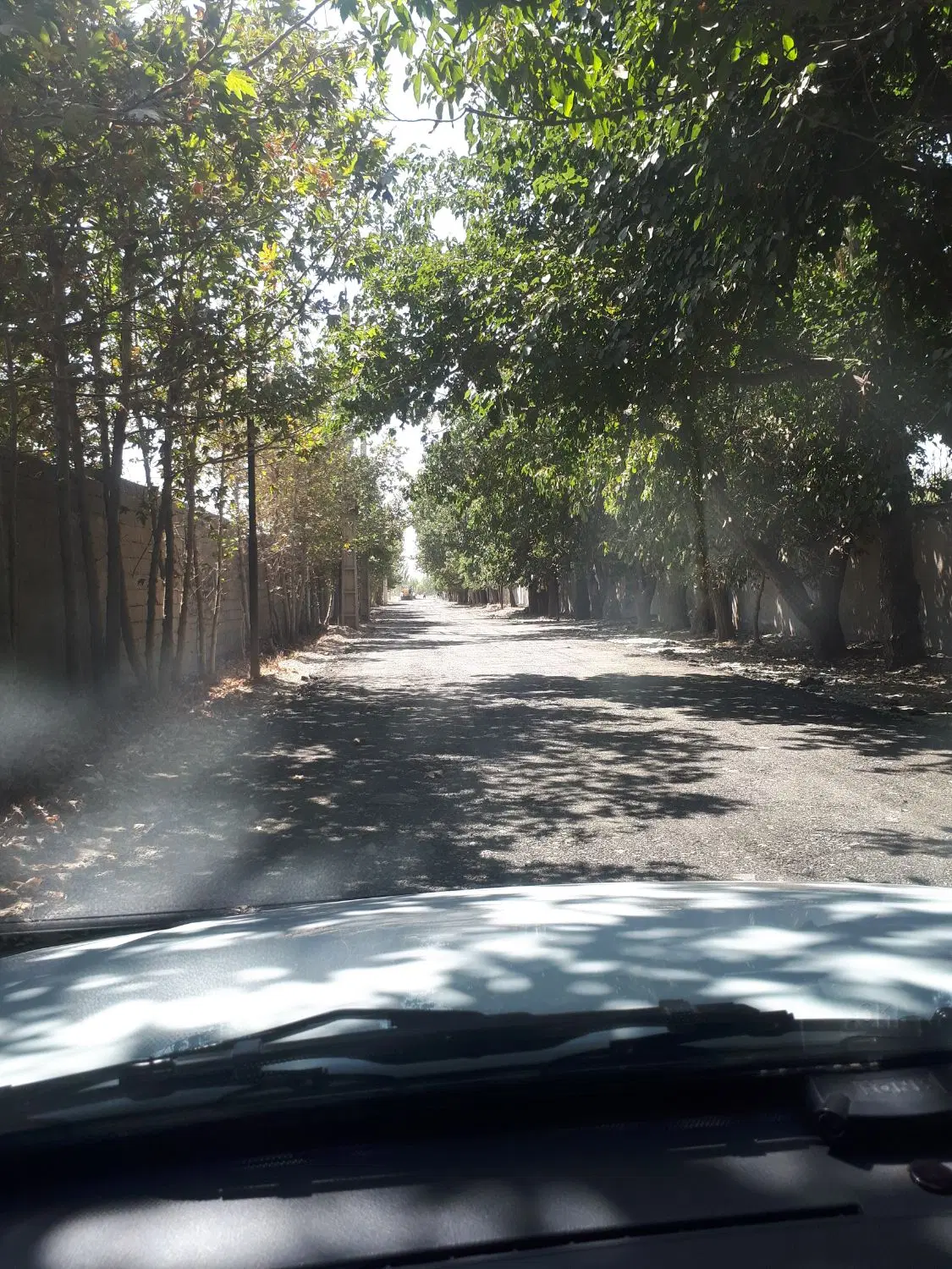 زمین ۹۰۰ متری