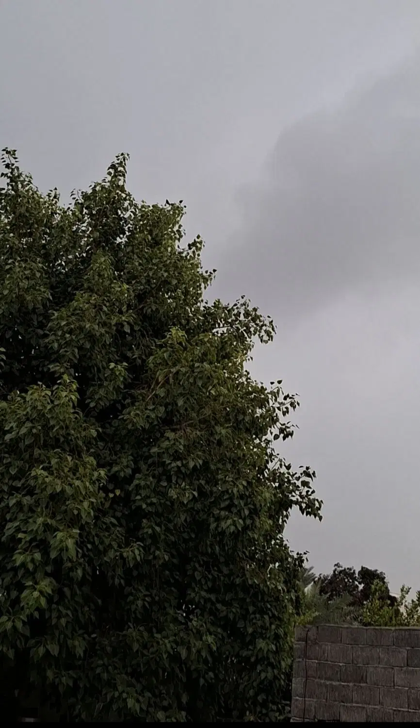 ویلایی ۳۰۰ متری خواجه عطا
