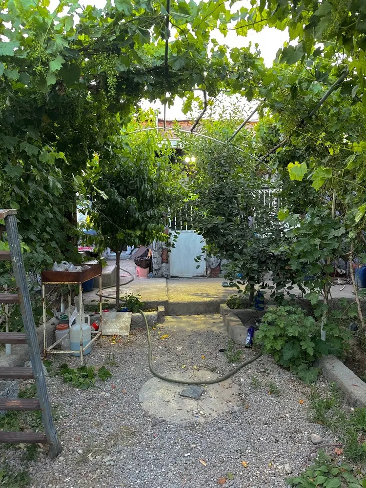 باغ در آخماقیه جاده اسنجان