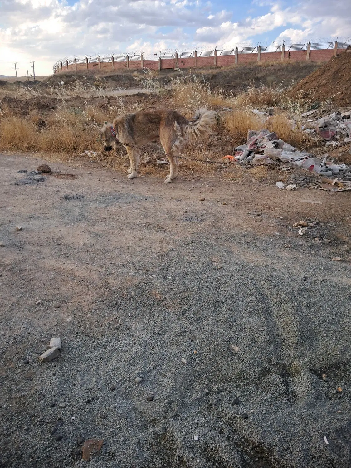 زمین سندتکبرگ ۶۶۵متر