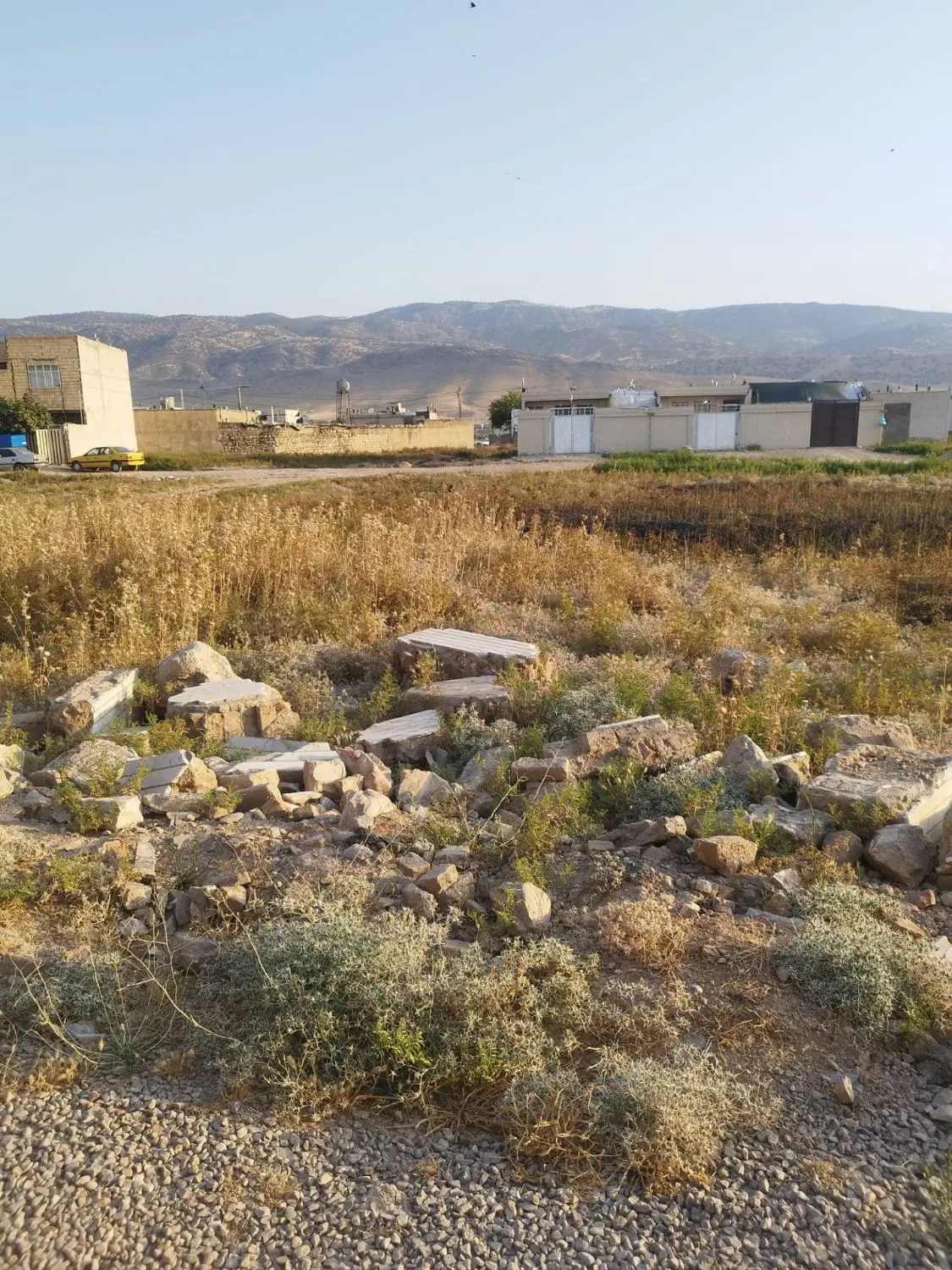 زمین تلوری