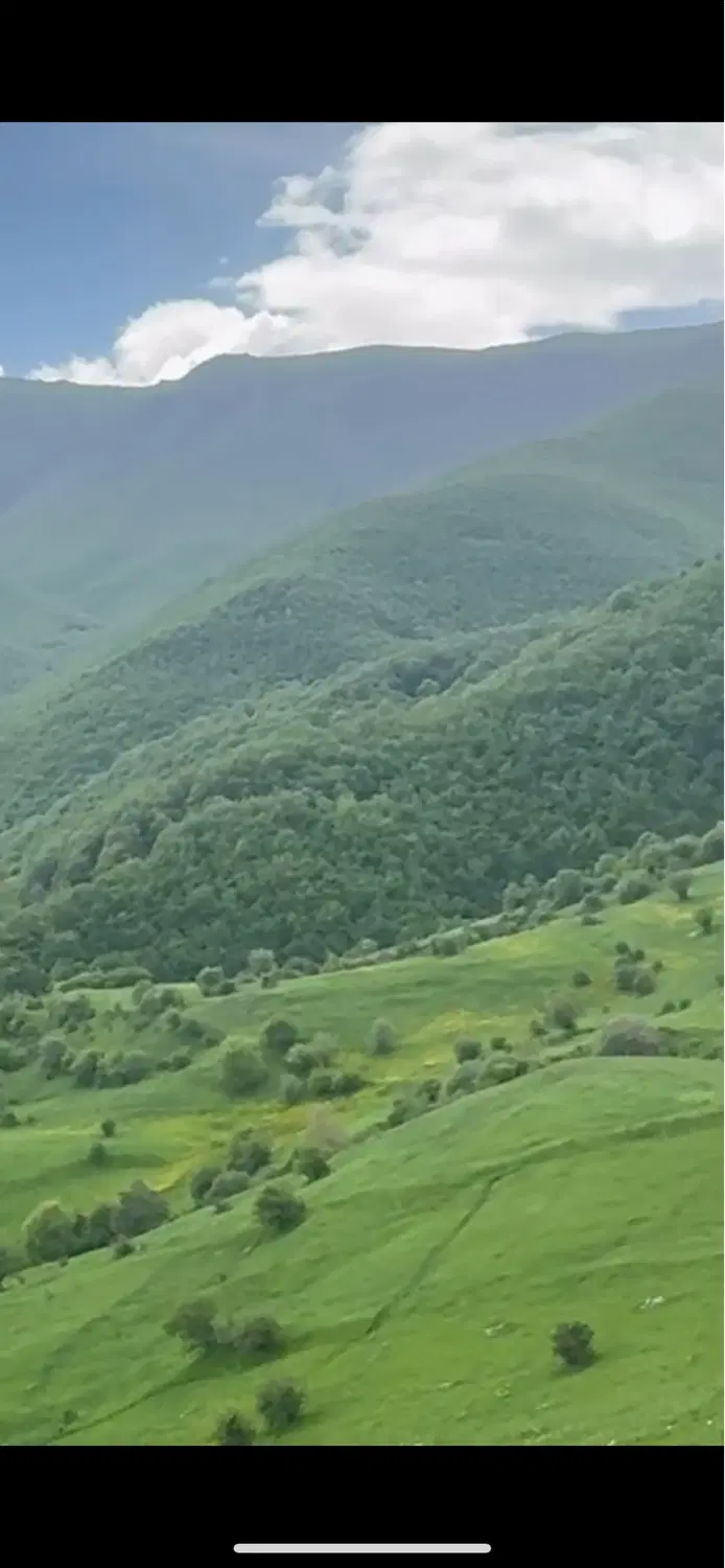 باغ فروشی در شهر آستانه