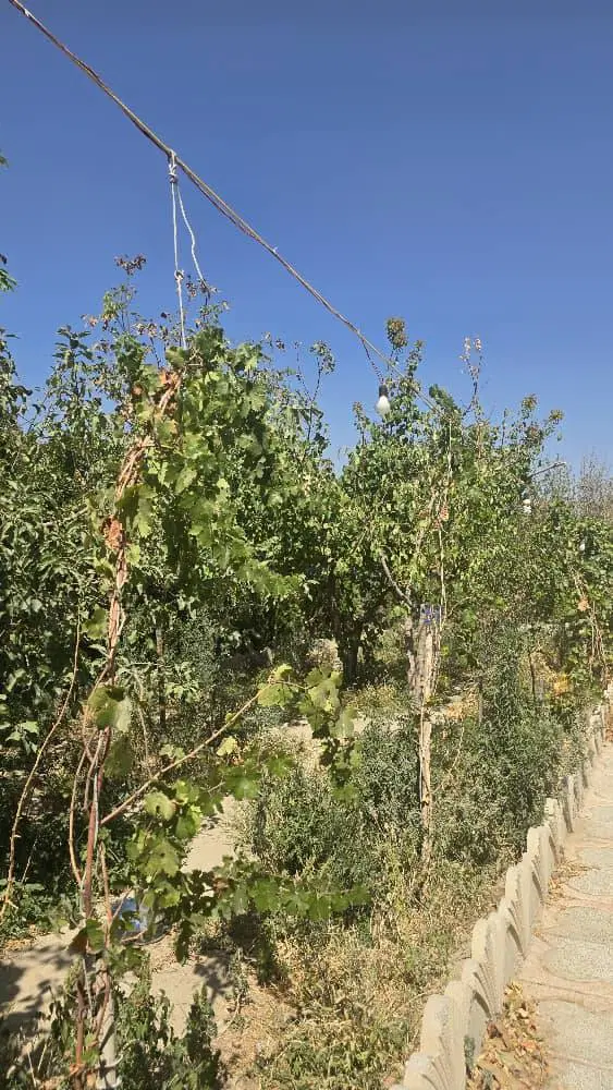 زمین ۱۳۰۲ متر کرج