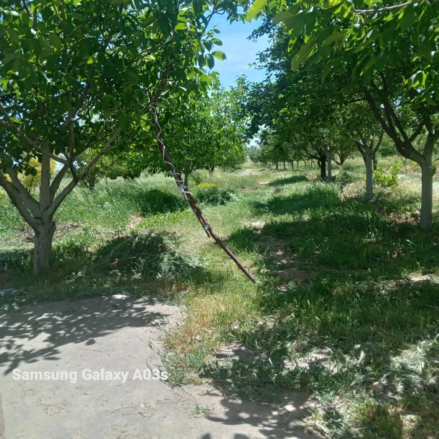 باغ‌پنج‌هزارمتردارای‌آب‌قنات‌‌‌‌۴۰متراوتاق‌وسرویس