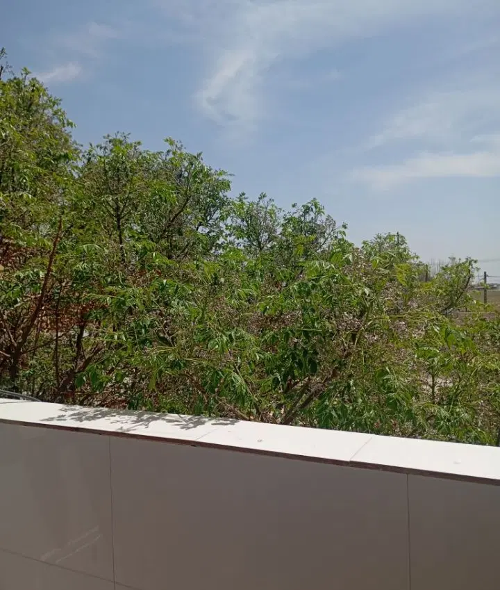 رهن و اجاره