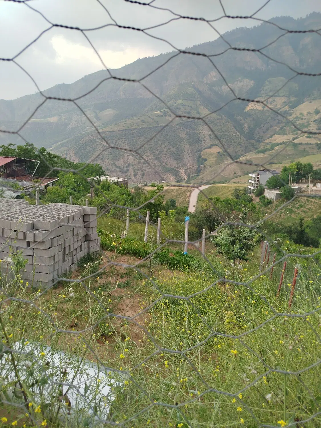 فروش زمین باغی