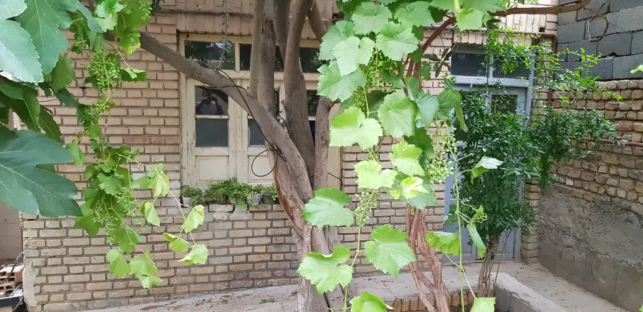 ویلایی ۲۳۰ متری فوری