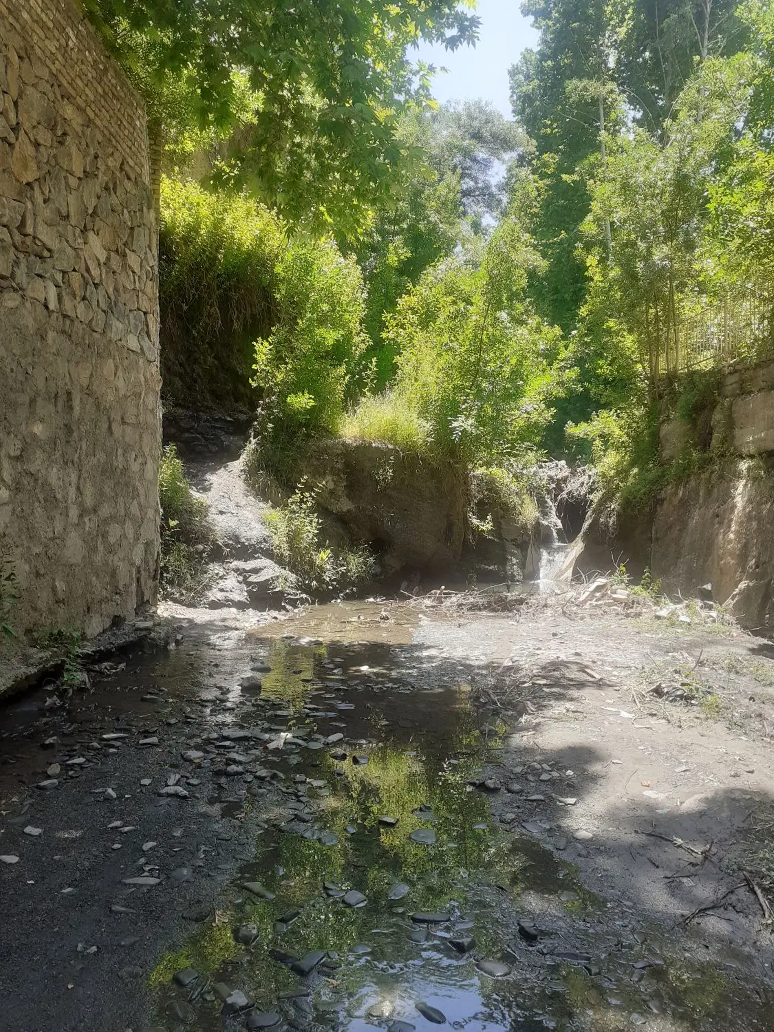 فروش زمین باغی