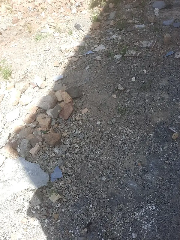 زمین شکرآب فروشی ۱۸۰متر جنوبی فاز۴