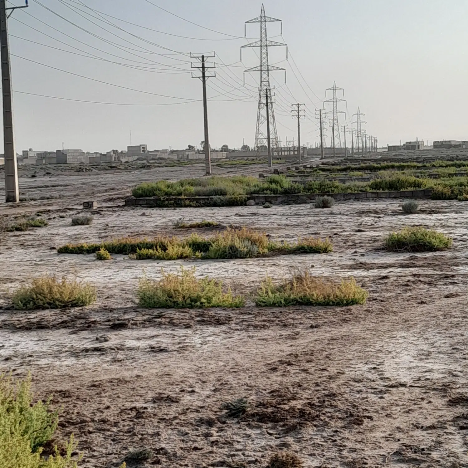 زمین برای فروش
