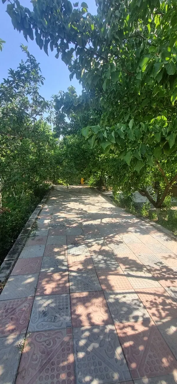 باغ شهرک حجت