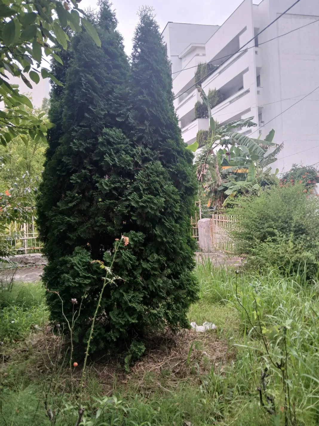 فروش ویلای کلنگی قایل سکونت