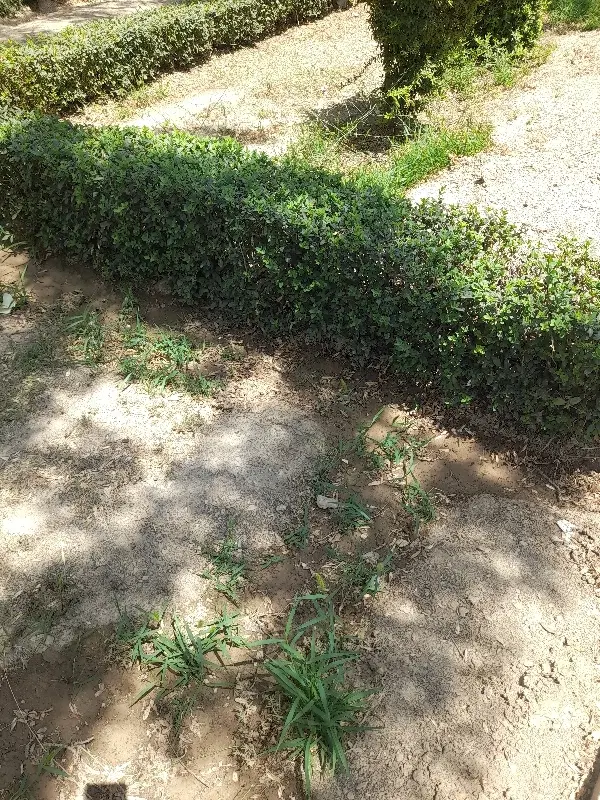 فروش زمین باغی