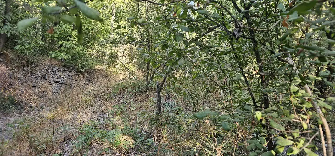 باغ در روستای مغان با ویو منظره سرسبزجلوی رودخانه