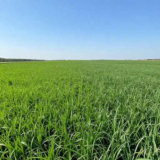 اجاره زمین کشاورزی