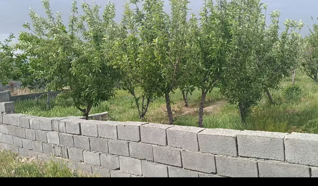 فروش زمین قطعه های 500 متری و 800متری