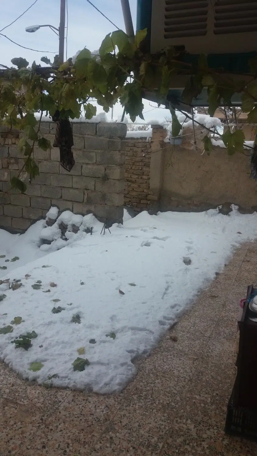 یک مغازه ۲۰متری