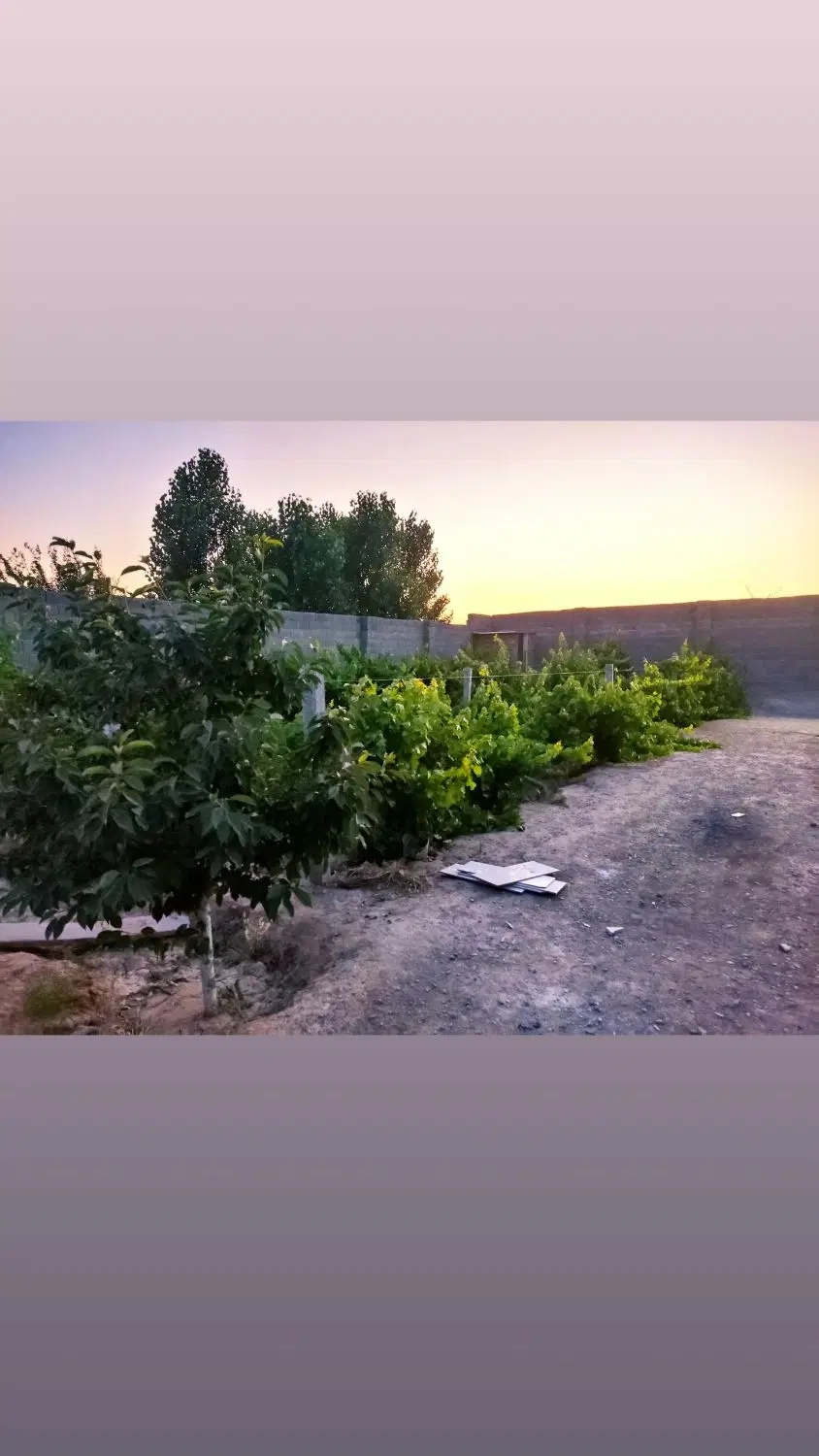 باغچه 925فروشی