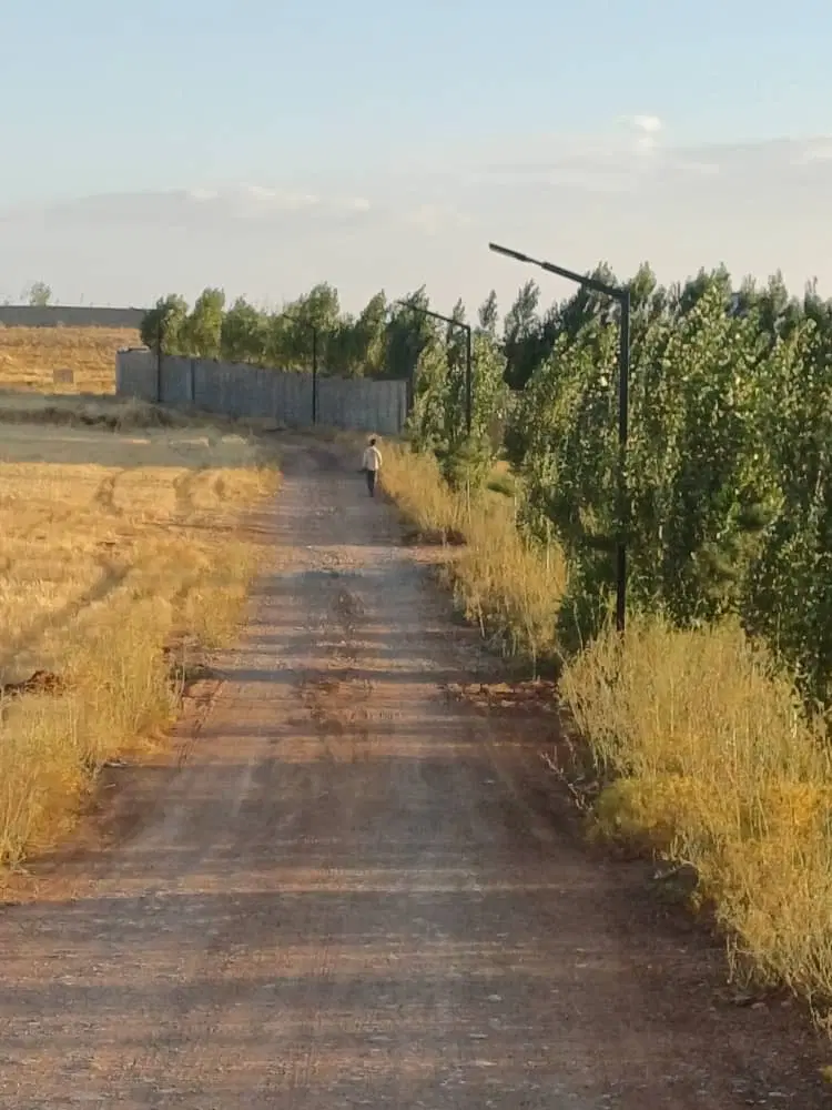زمین باغشهری قره چمن با اب وبرق واخذ سند تک برگ