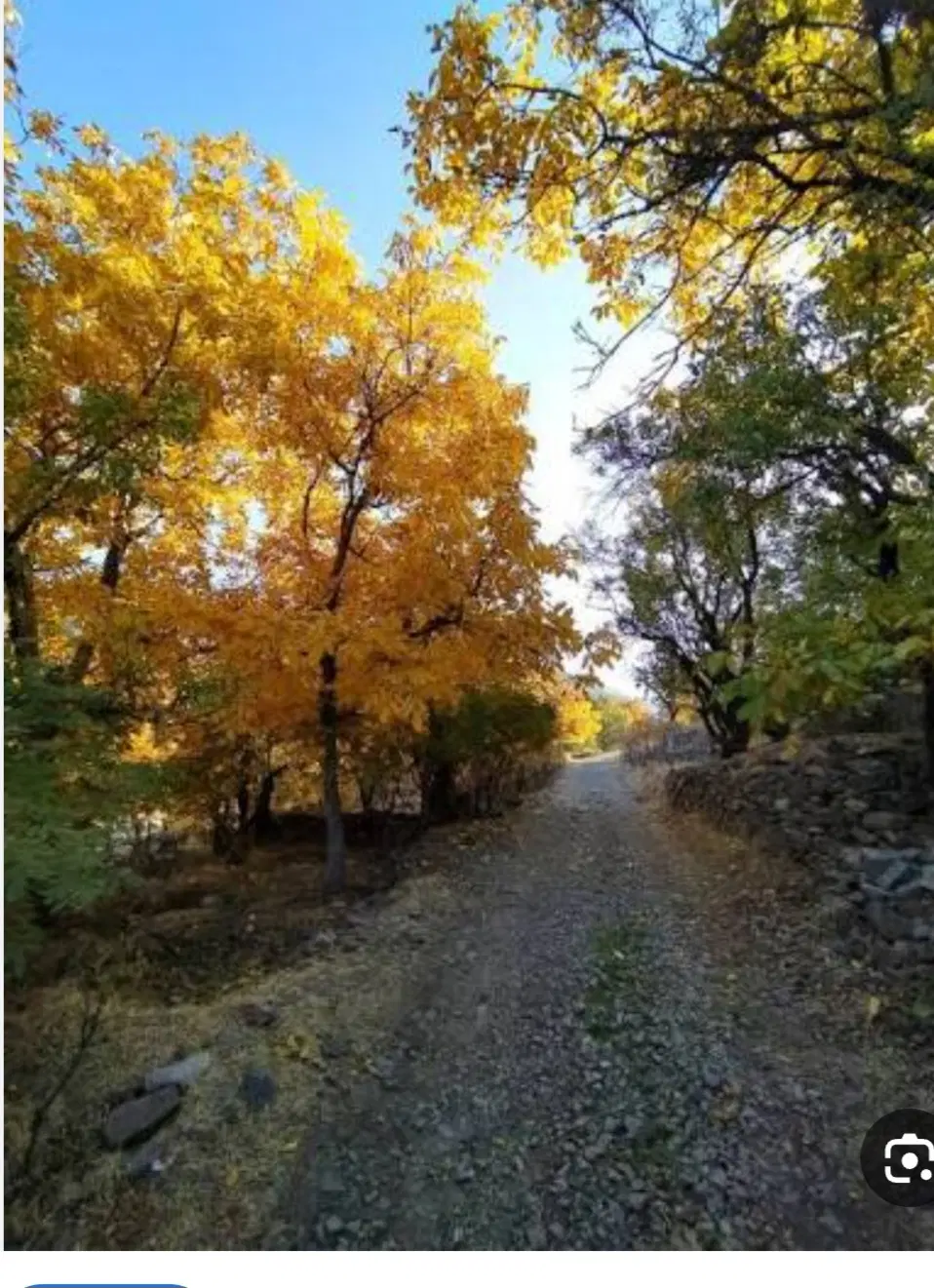 یک هکتار زمین سنددار روستای نشلج