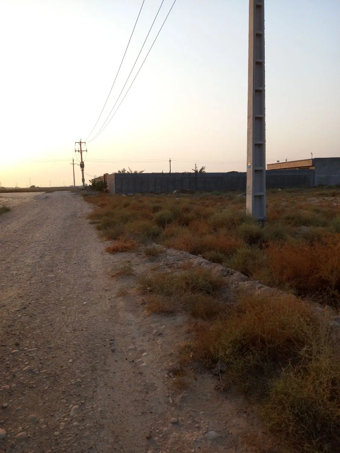 زمین باغی