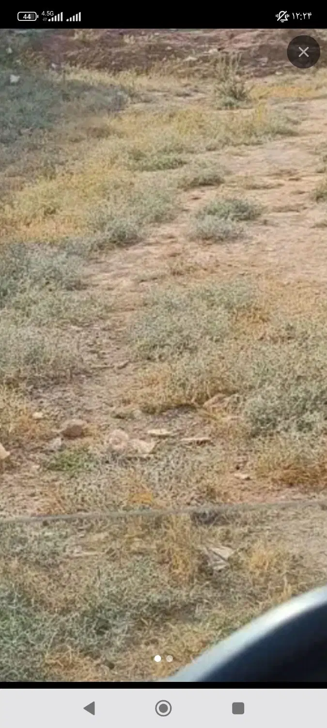 زمین مسکونی