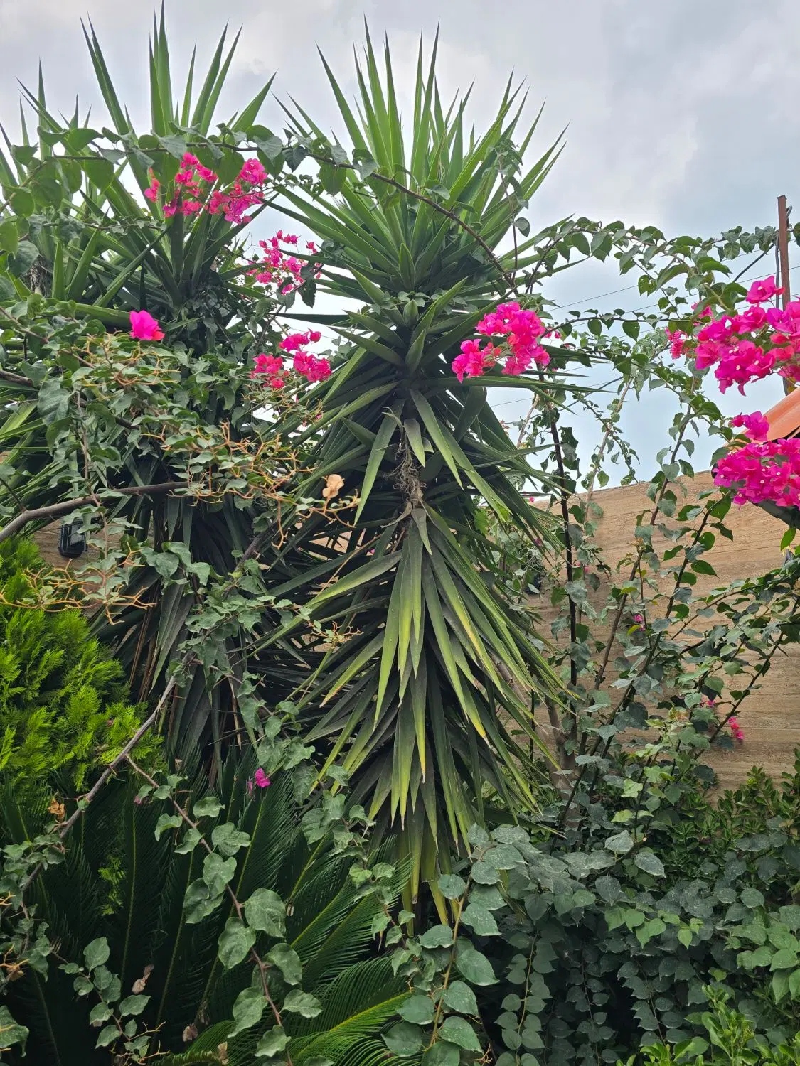 خونه ویلایی
