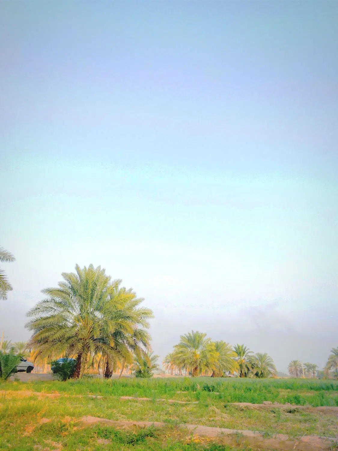 زمین زیباشهر