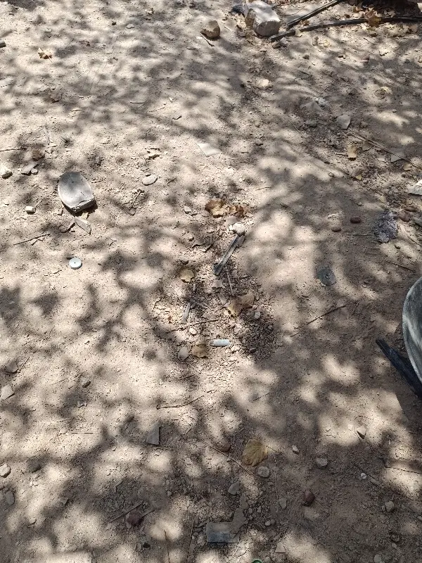 زمین ۲۰۰ متری
