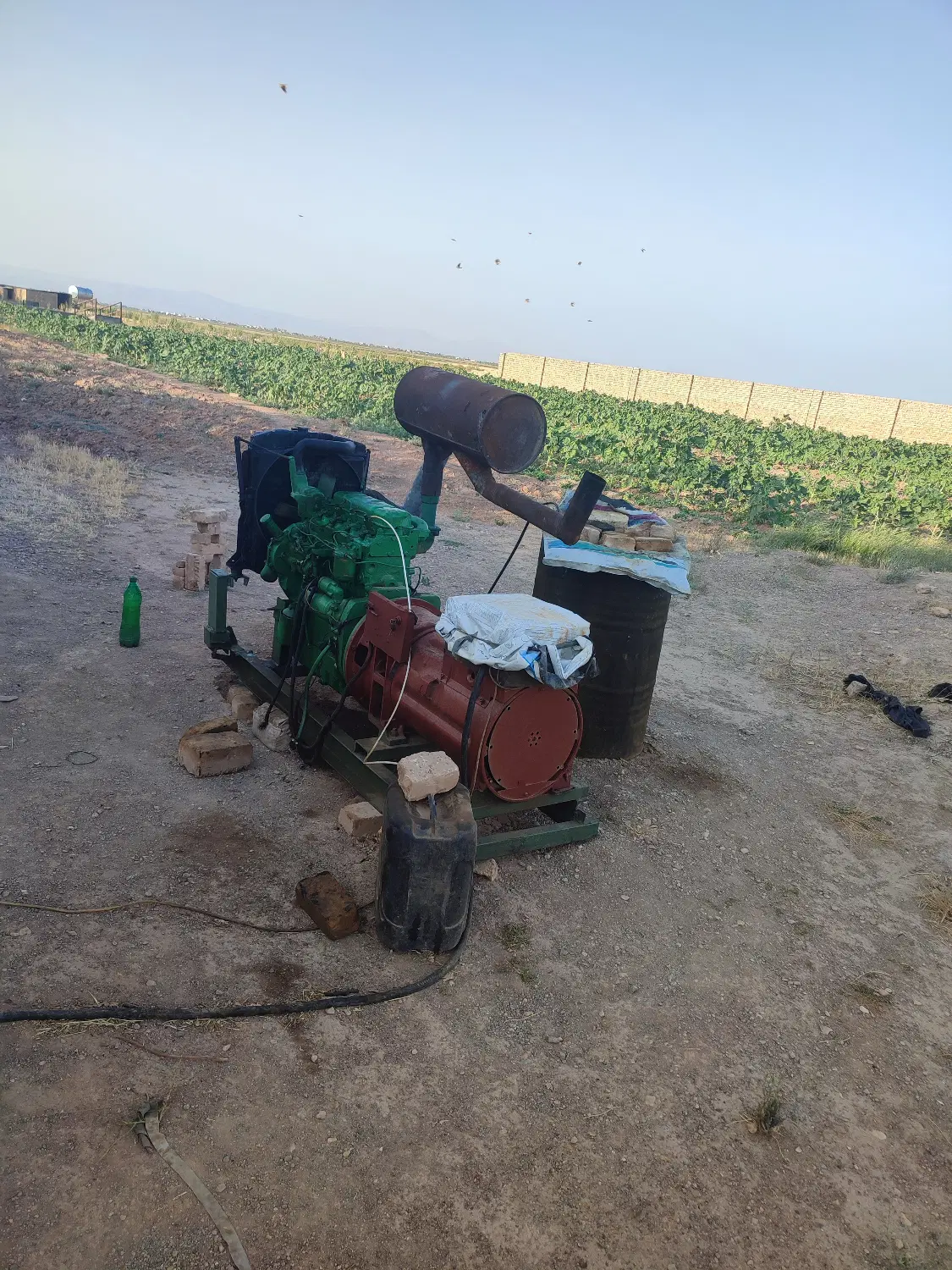 زمین کشاورزی