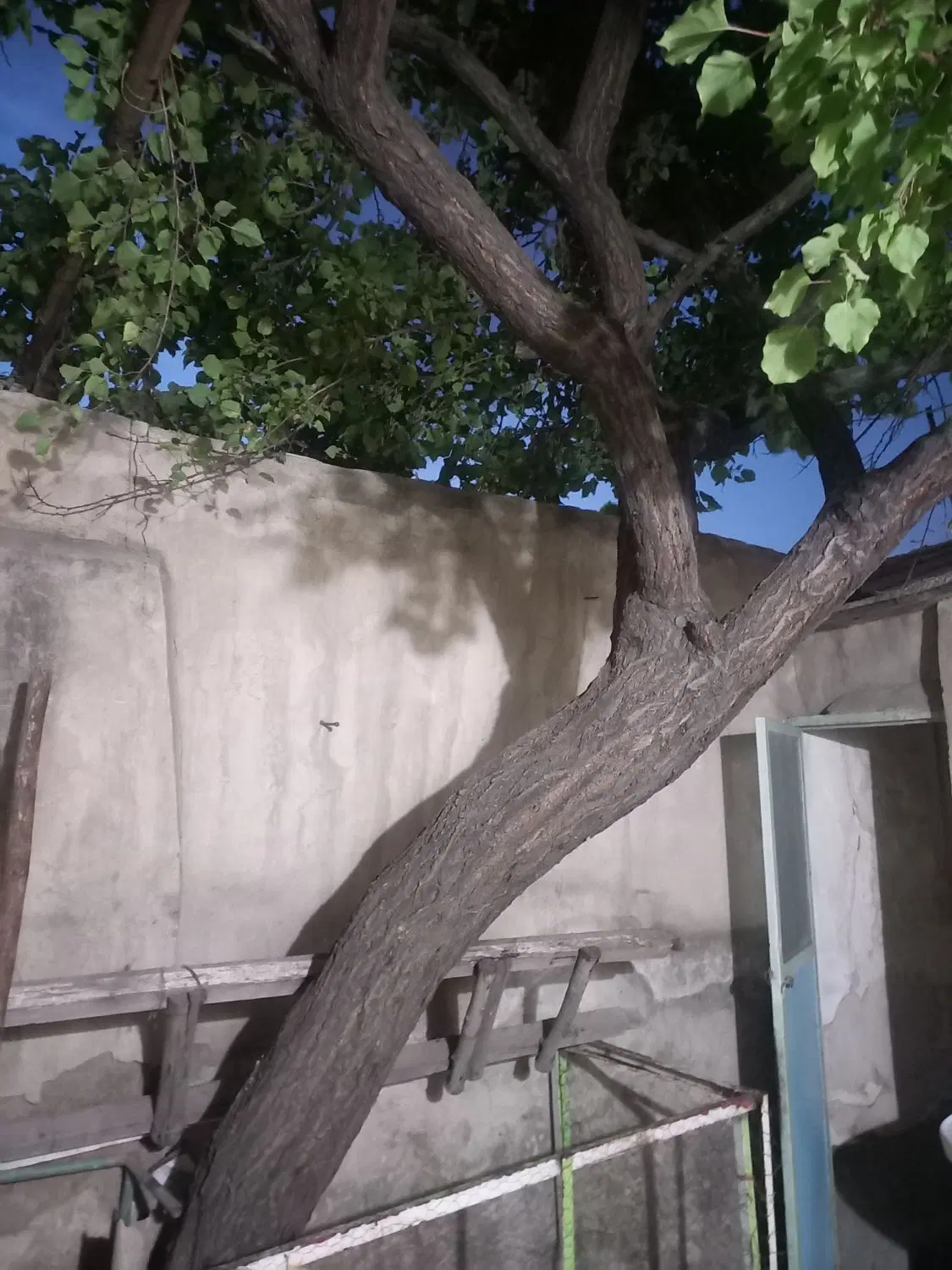 خانه،انبار