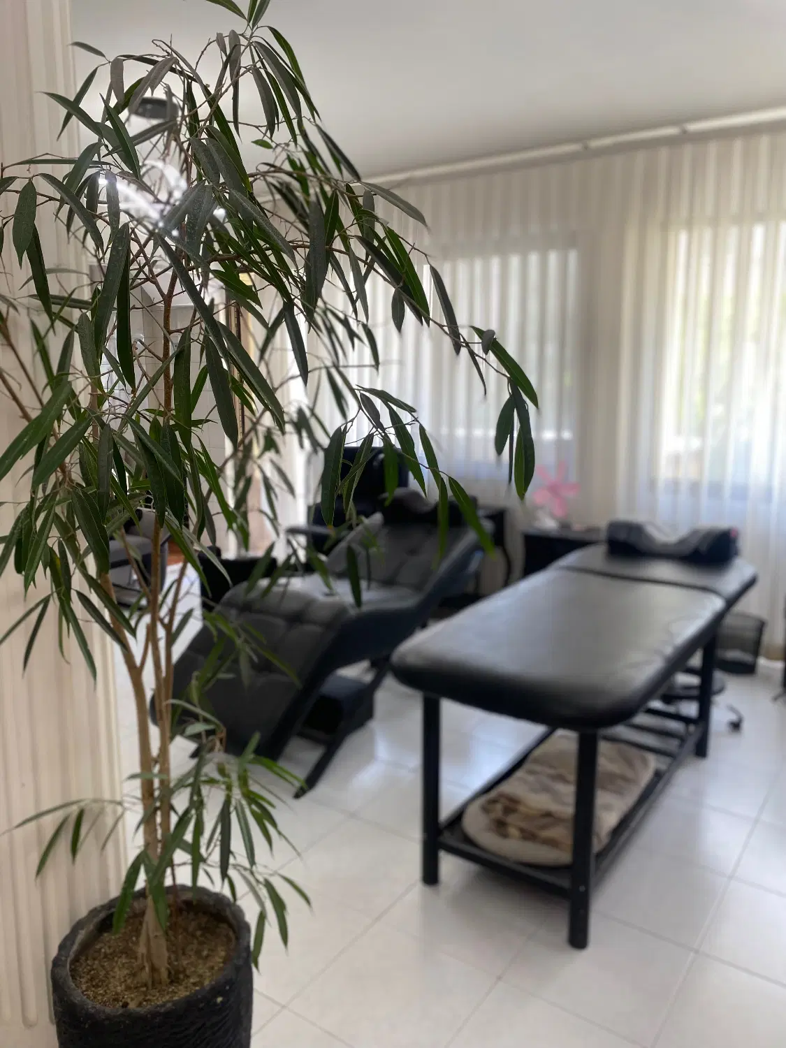 اجاره لاین ناخن ،مژه و کوتاهی