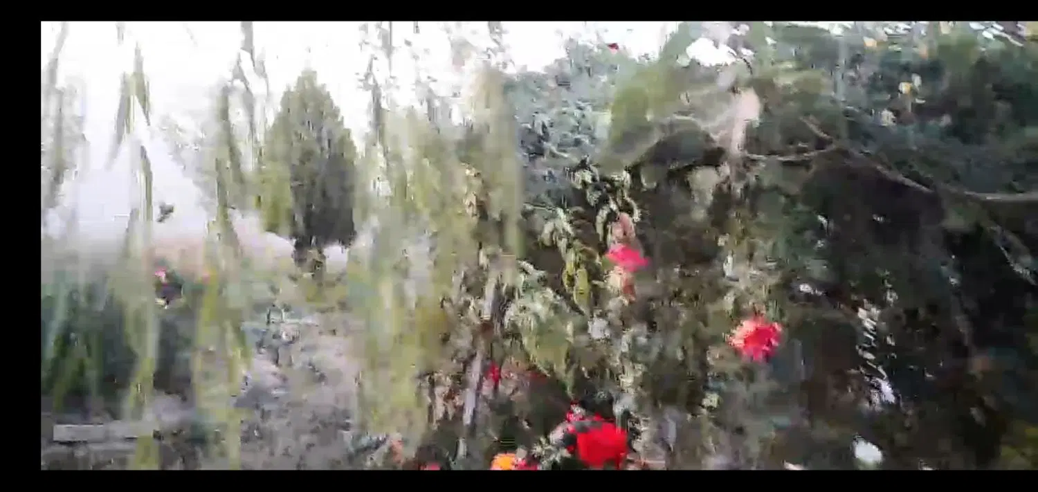 خانه باغ ویلایی 600متری داری