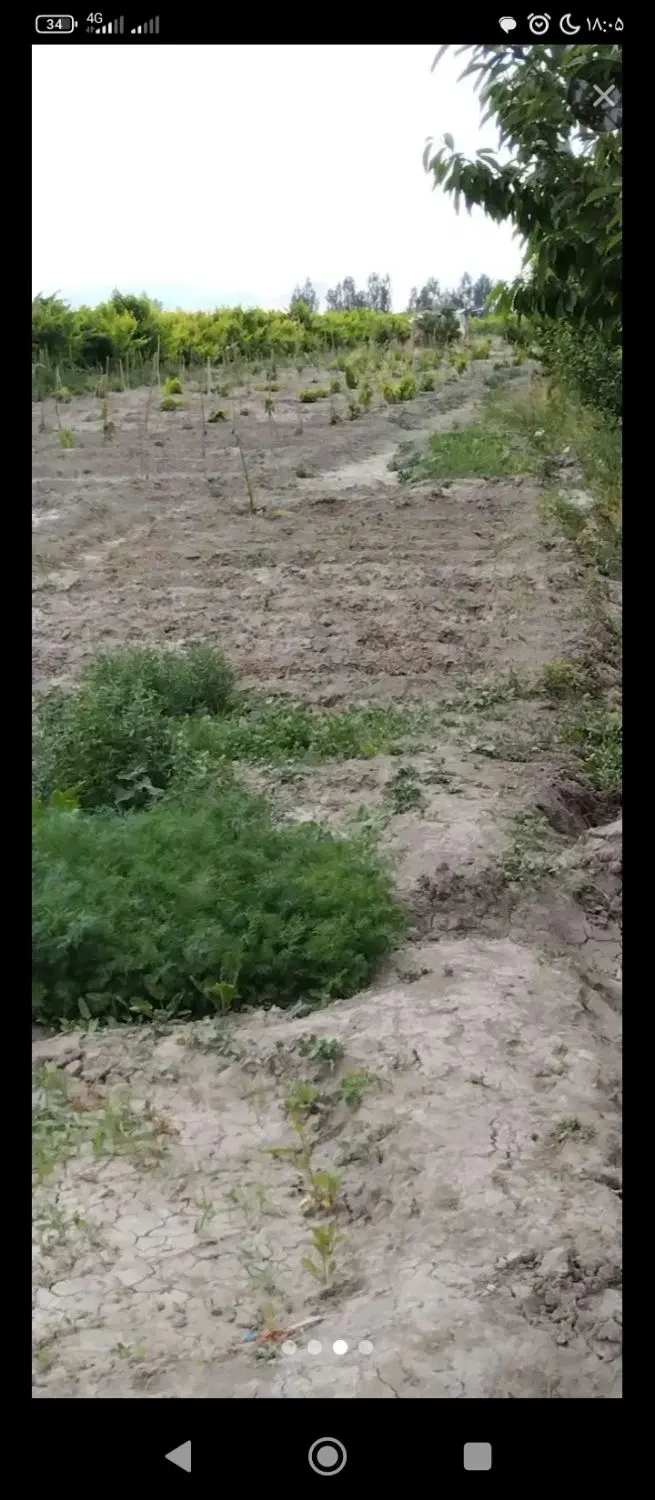 باغچه واقع درتازه کندقشلاق