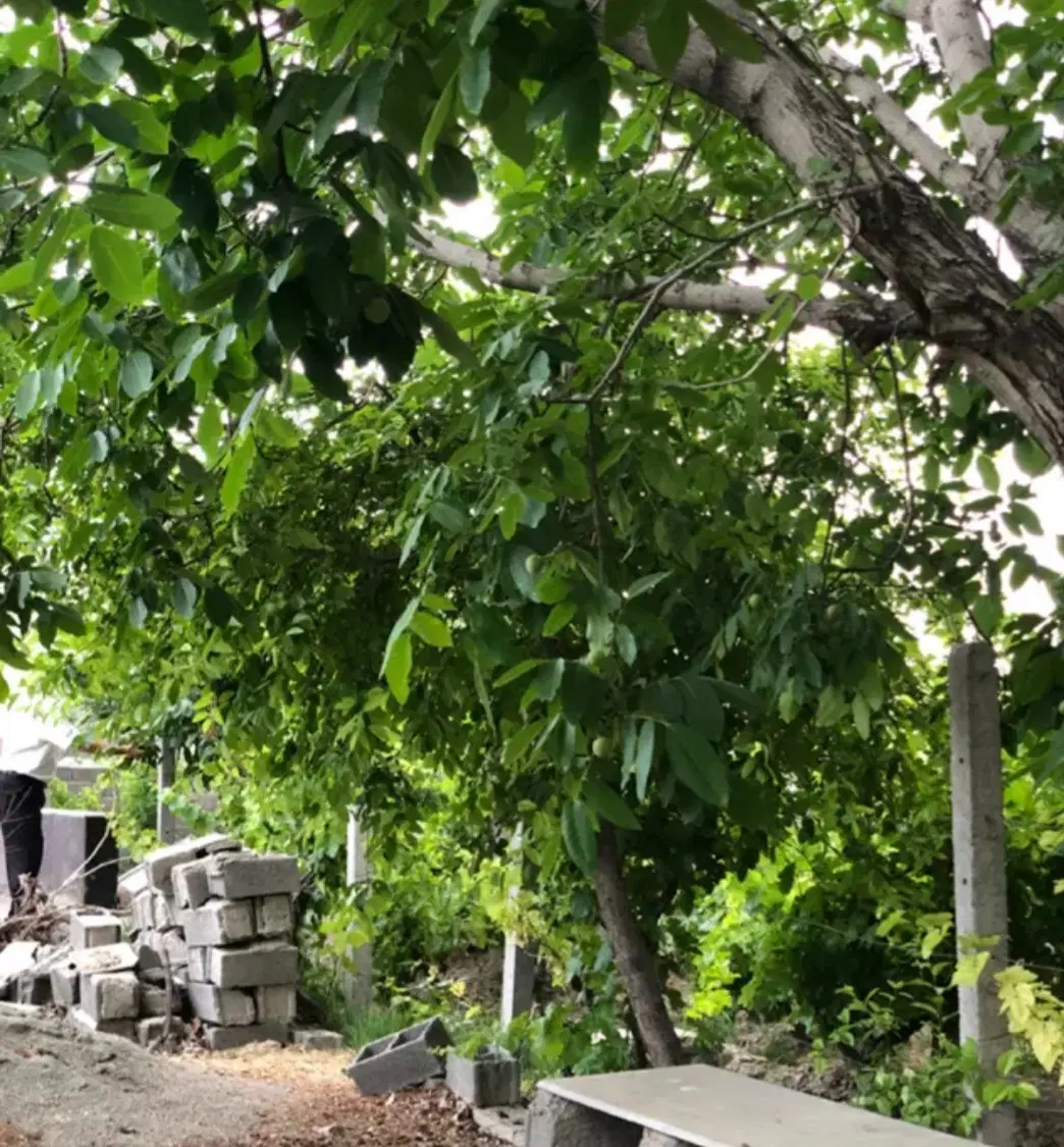 باغچه ۱۵۰۰ متری سند تک برگ عرصه عیان برق کنتور