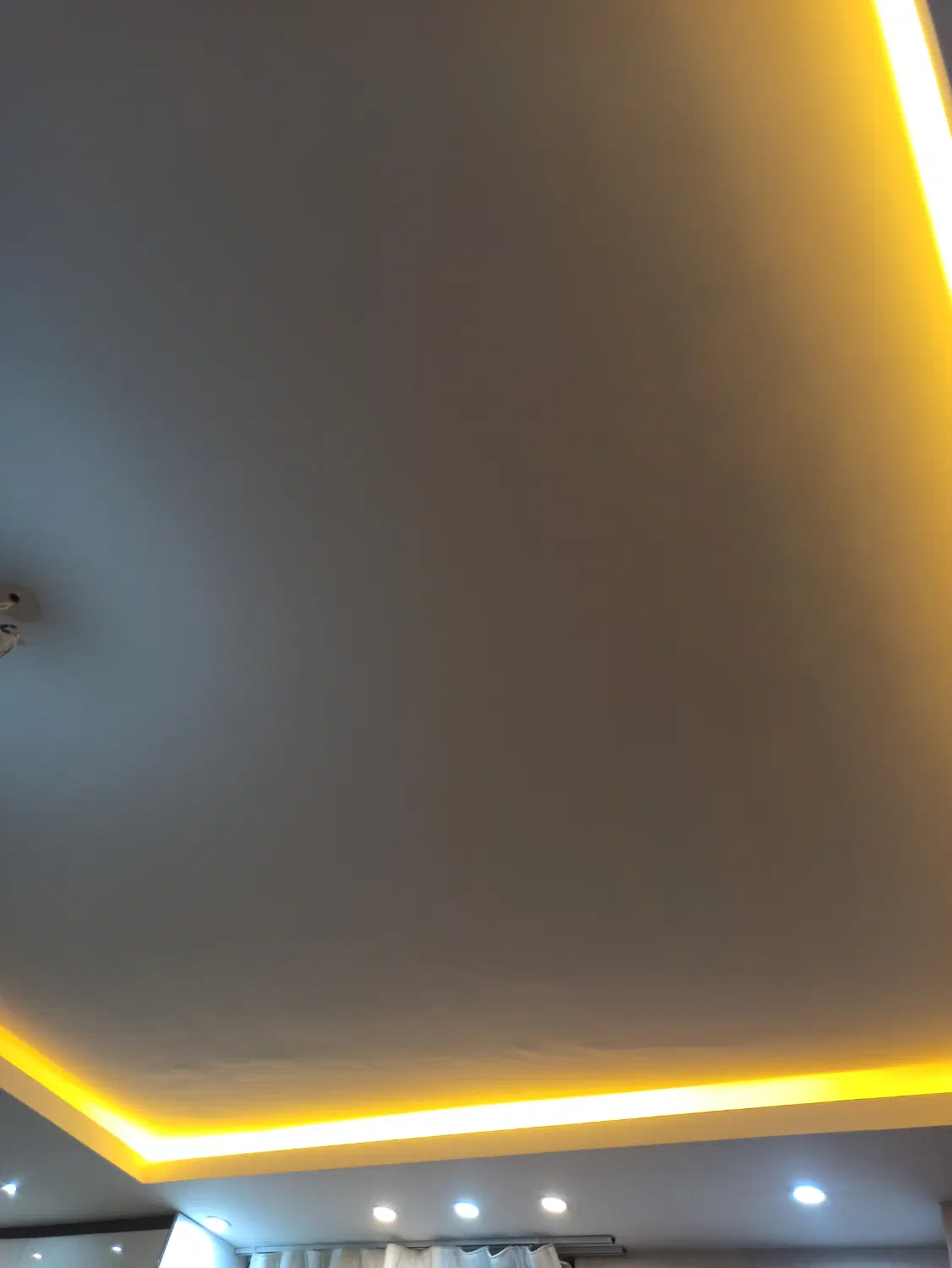 همخونه هم خانه