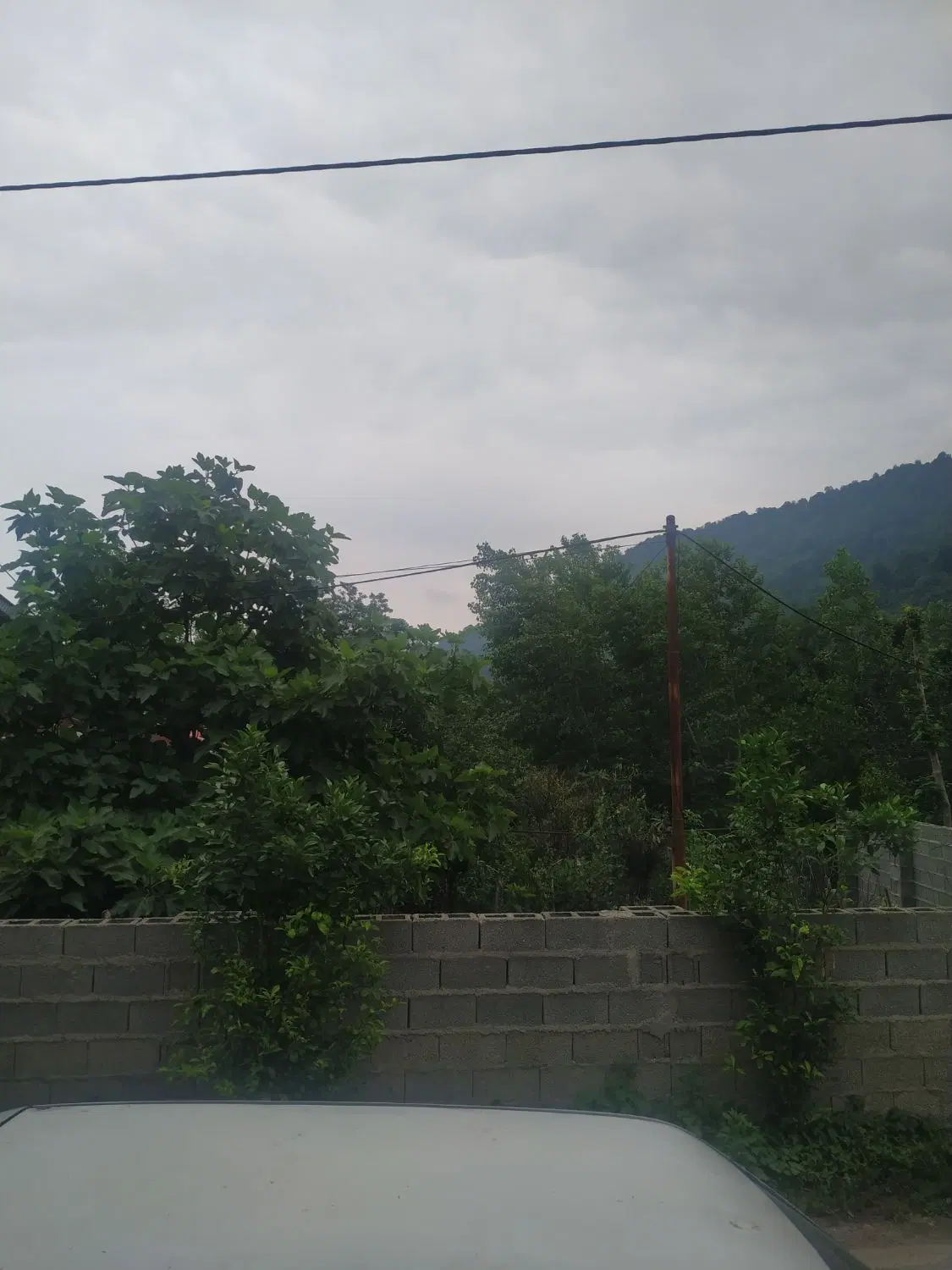 باغ ویلا خوشگل
