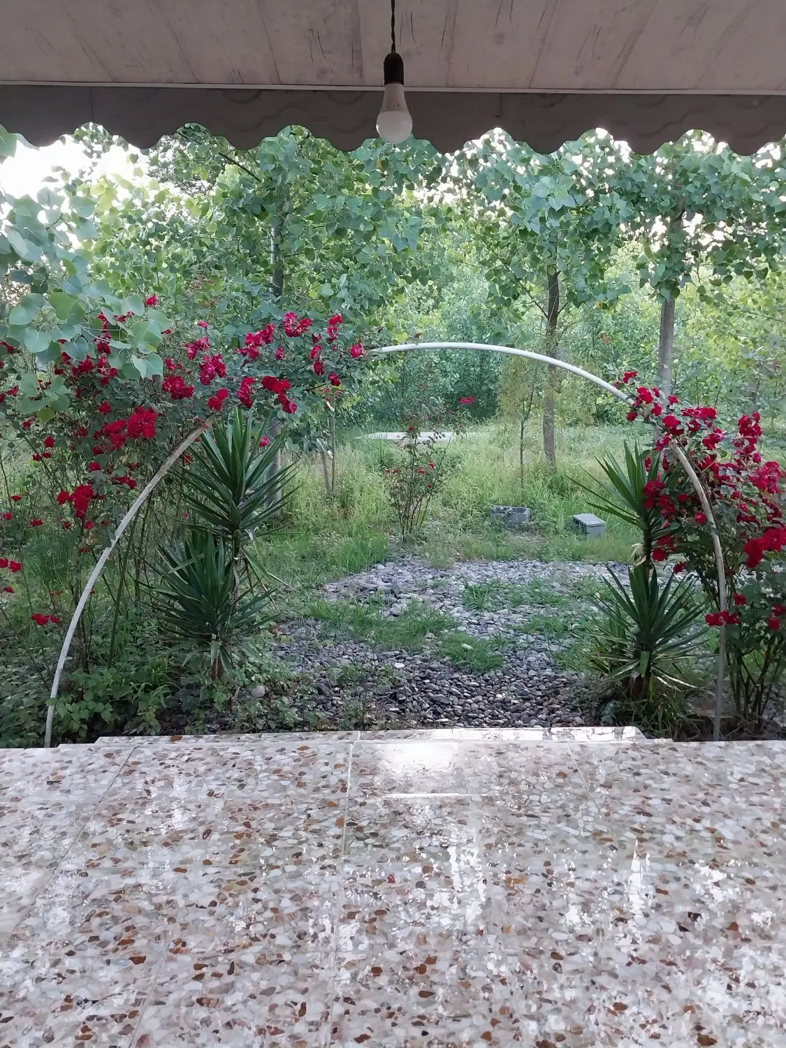 اجاره روزانه وشبانه