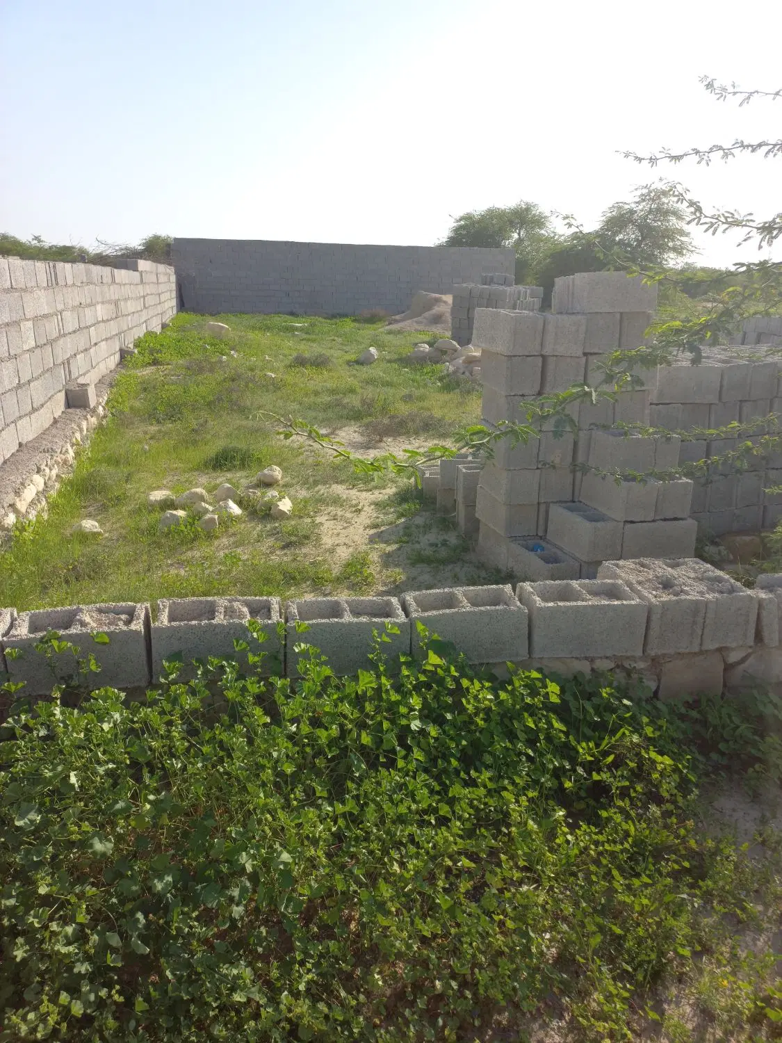 زمین ۳۰۰ متری چاهخانی
