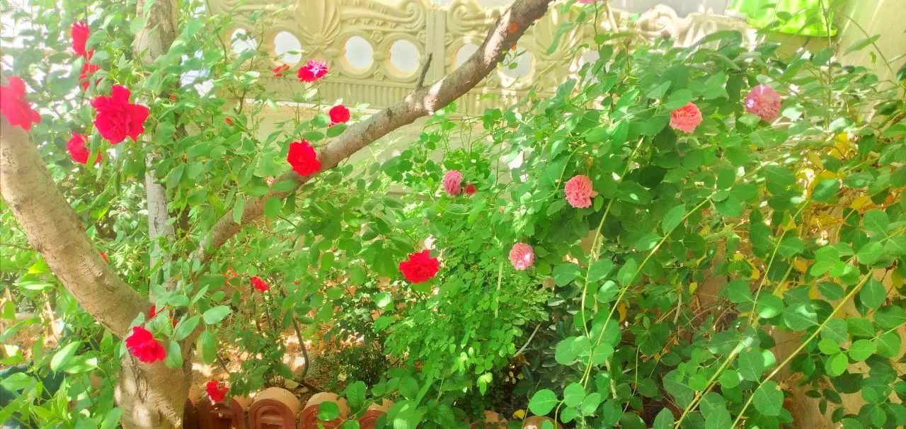فروش خانه ویلایی دوبلکس تنکمان ۱۴۲متر سند تک برگ