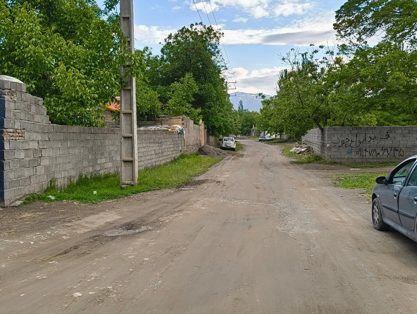 باغچه ویلایی