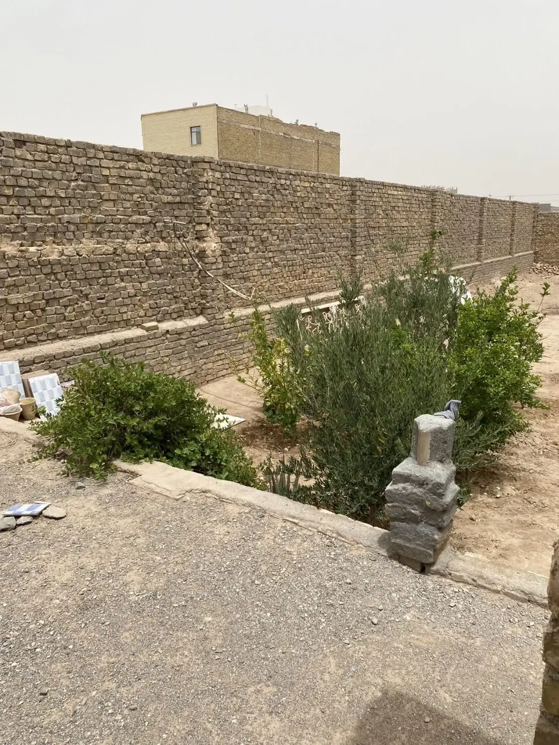 زمین