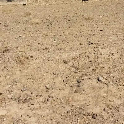 زمین مسکونی دهنو