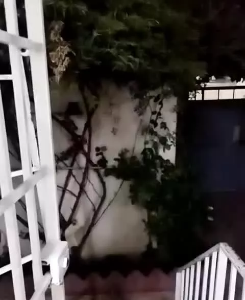 ویلایی ۱۵۰متری اجاره