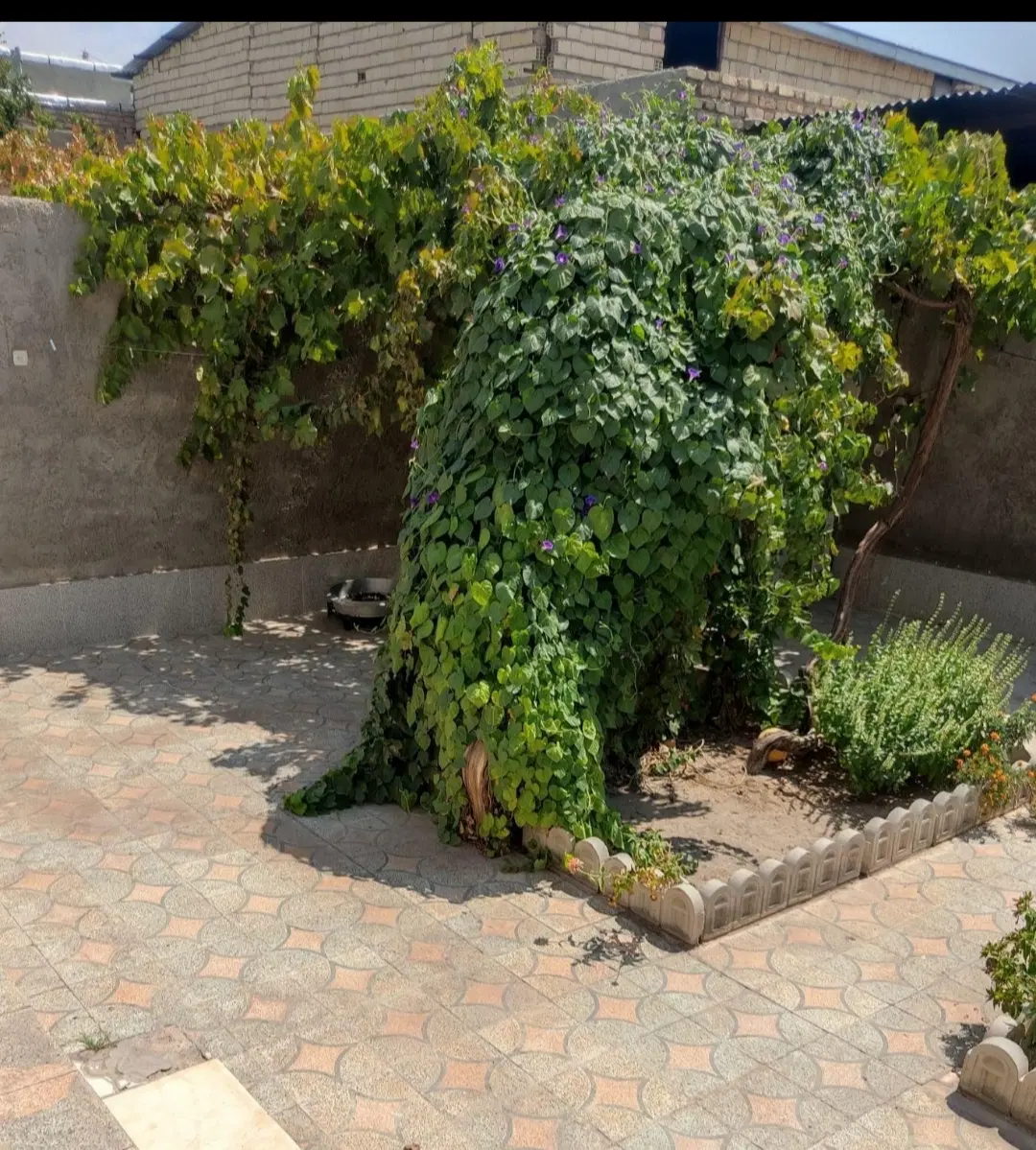 خانه ویلایی محمودآباد