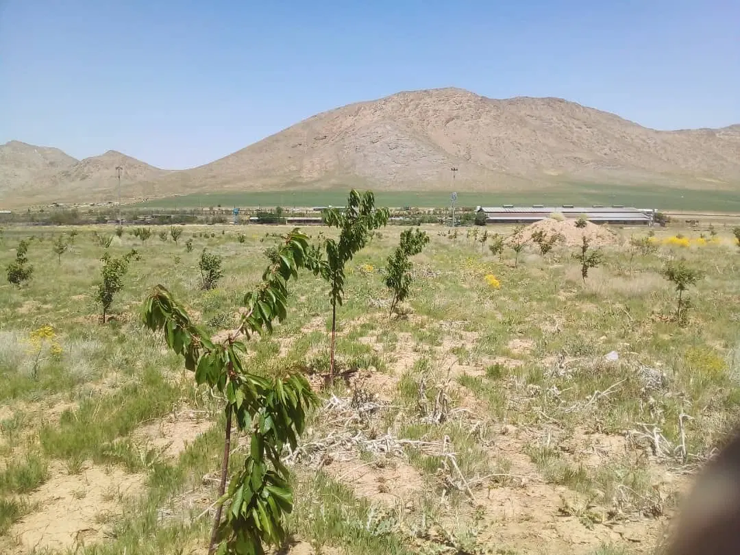 زمین خانه میران