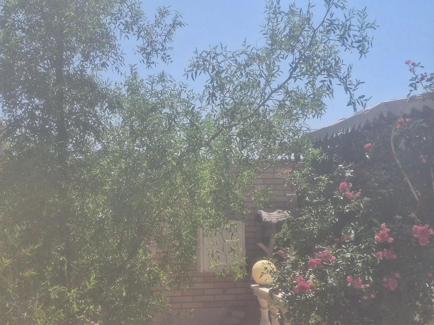 ویلایی دلازیان