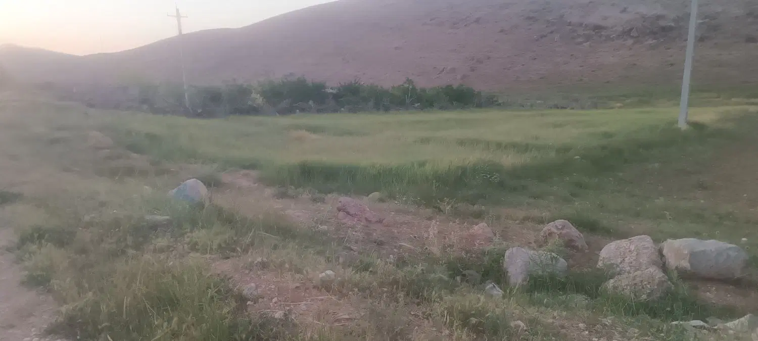 زمین فروشی بر جاده