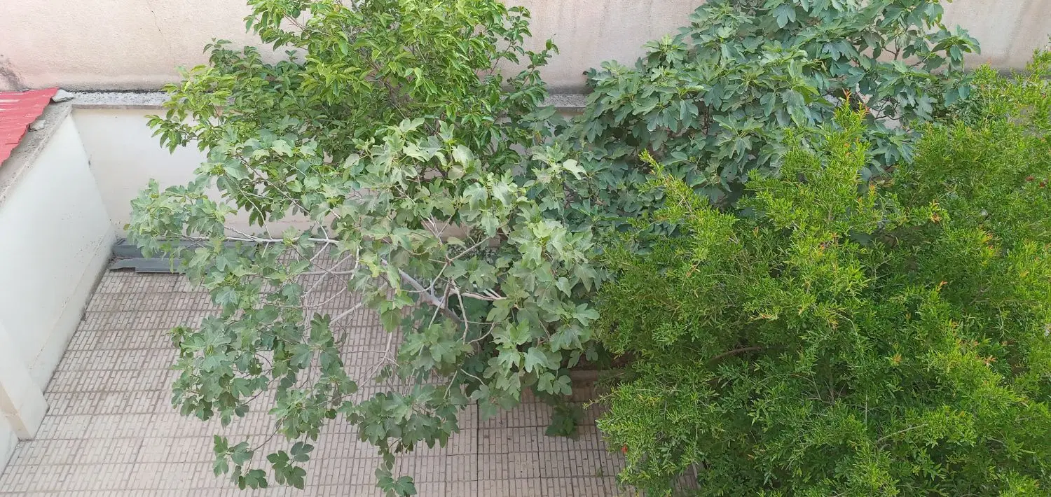 آپارتمان قدرالسهم دار بر خیابان متخصصین